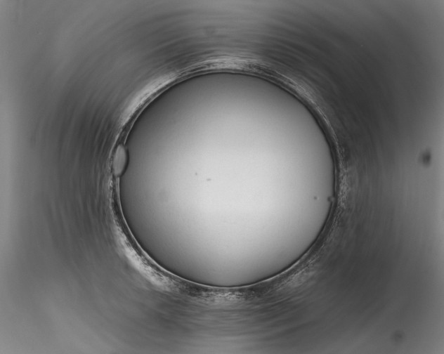 X0000115801042200911271246