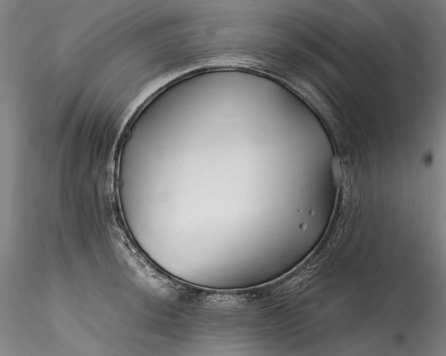 X0000115801044200911271246