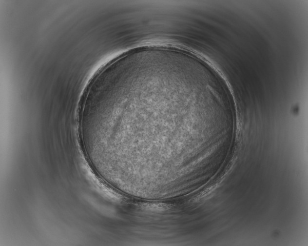 X0000115801045200911271246