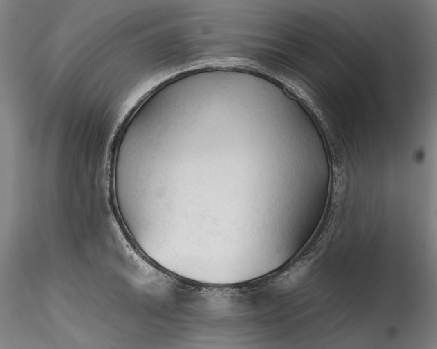 X0000115801046200911271246