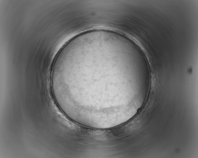 X0000115801048200911271246