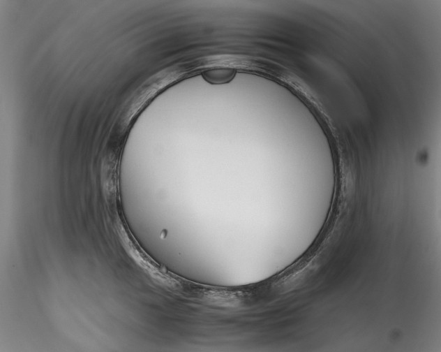 X0000115801049200911271246