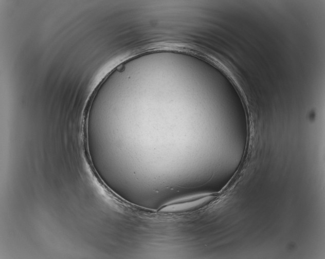 X0000115801050200911271246