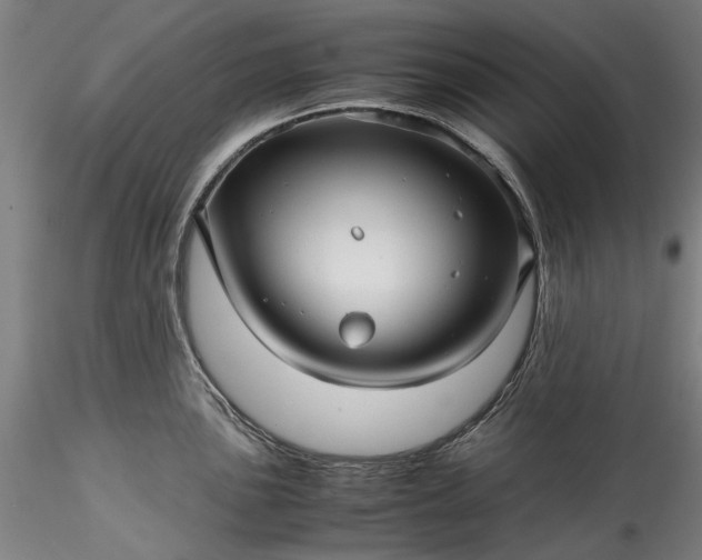 X0000115801051200911271246