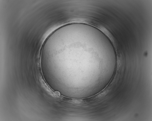 X0000115801052200911271246