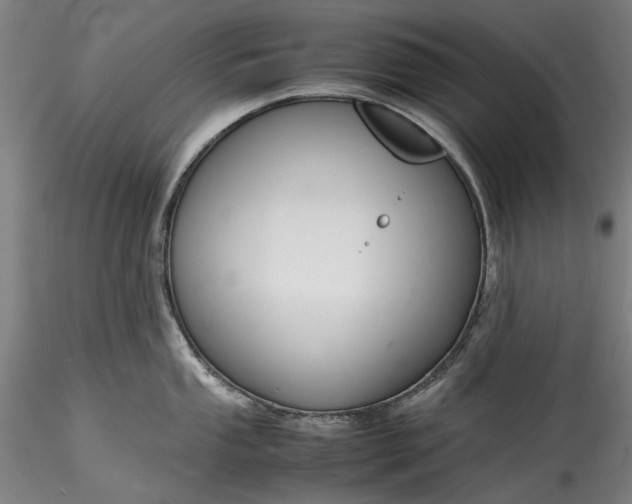 X0000115801053200911271246