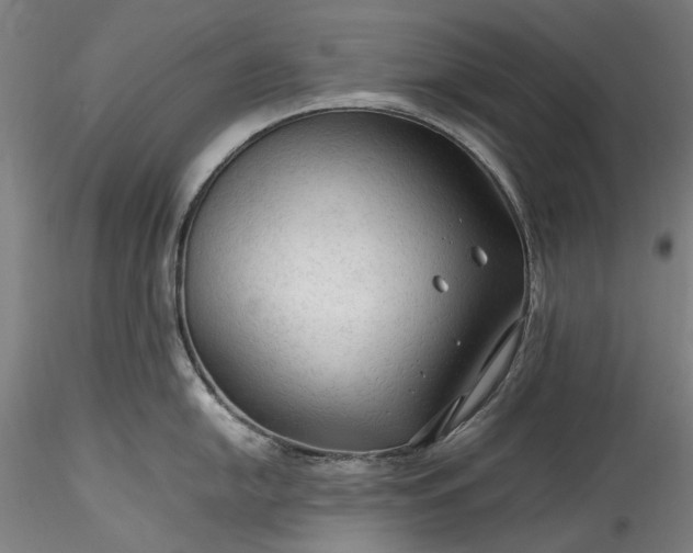 X0000115801054200911271246