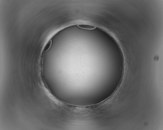 X0000115801056200911271246