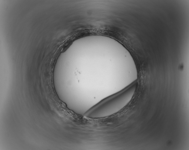 X0000115801057200911271245