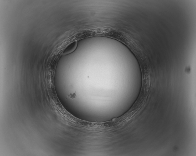 X0000115801058200911271245