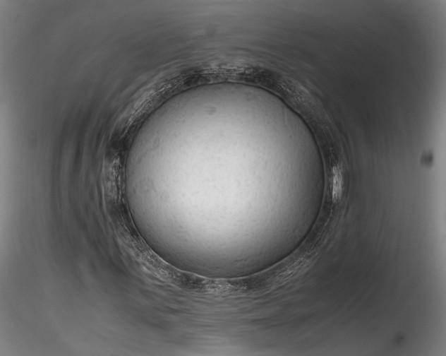 X0000115801059200911271245