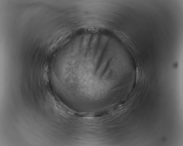 X0000115801060200911271245