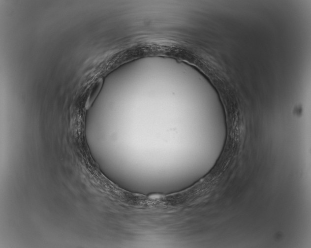 X0000115801061200911271245