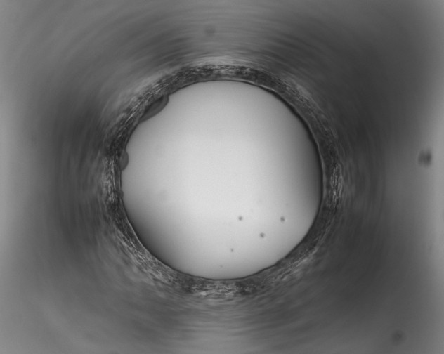 X0000115801062200911271245