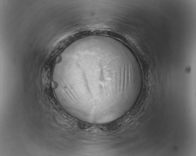 X0000115801063200911271245