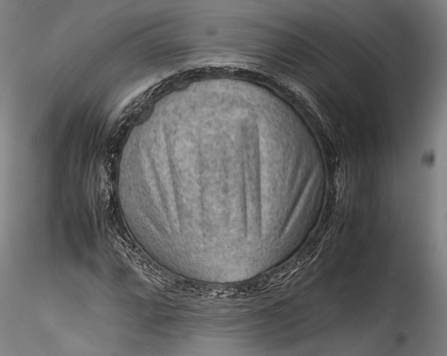 X0000115801064200911271245