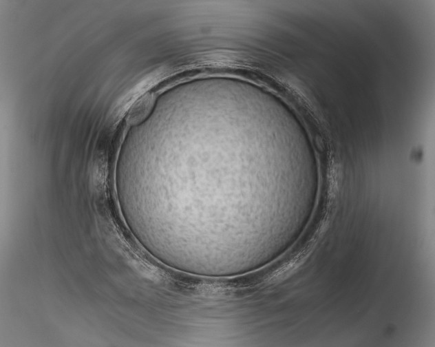 X0000115801065200911271245