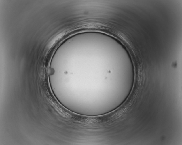 X0000115801067200911271245