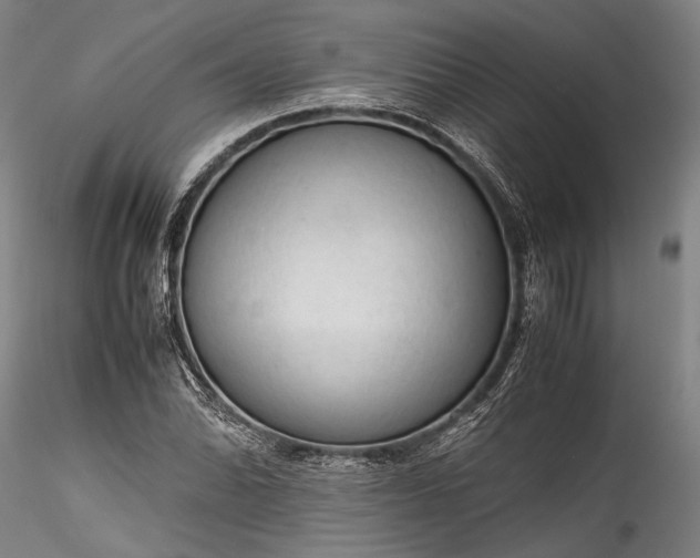 X0000115801070200911271245