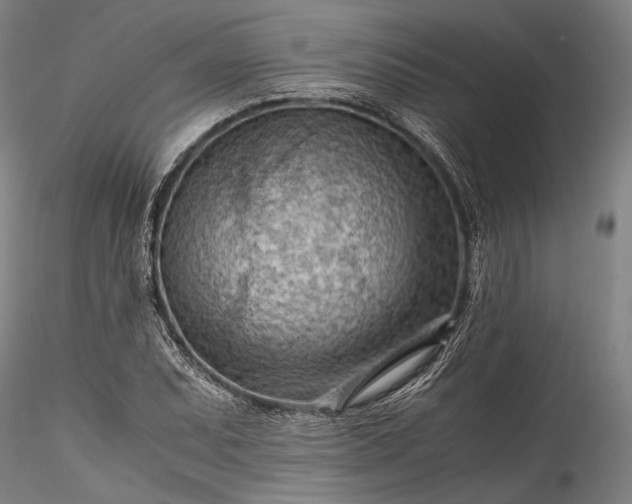 X0000115801071200911271245