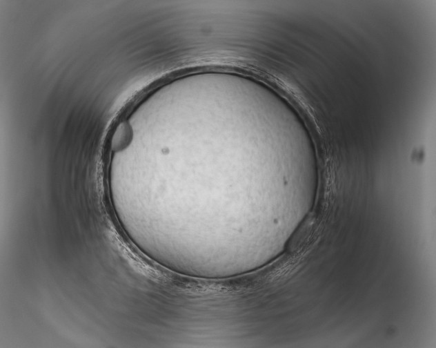 X0000115801072200911271245