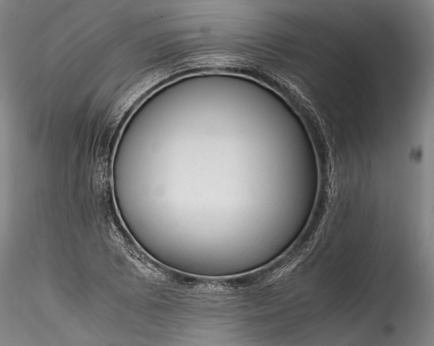 X0000115801073200911271245