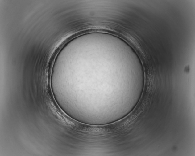 X0000115801076200911271245