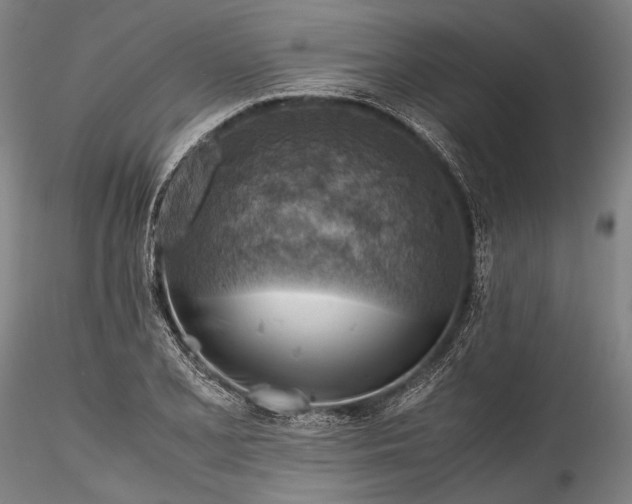 X0000115801077200911271245