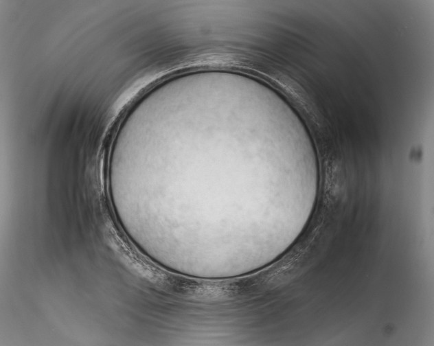 X0000115801078200911271245