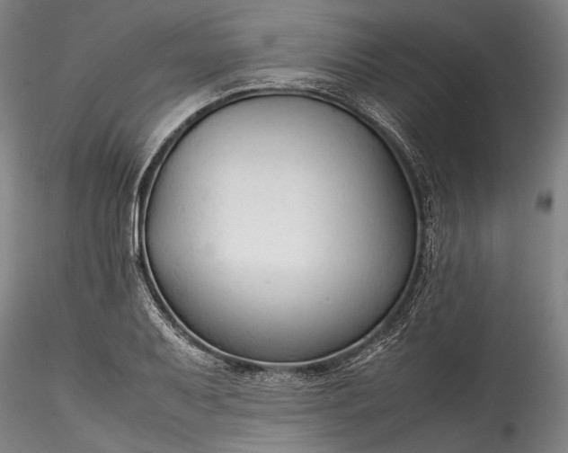 X0000115801079200911271245