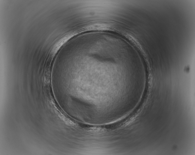 X0000115801081200911271245