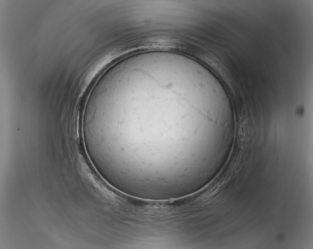 X0000115801083200911271245