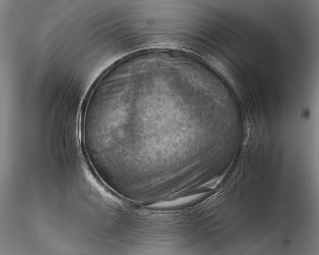 X0000115801084200911271245