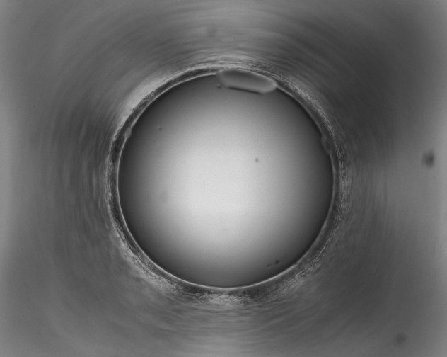 X0000115801085200911271245