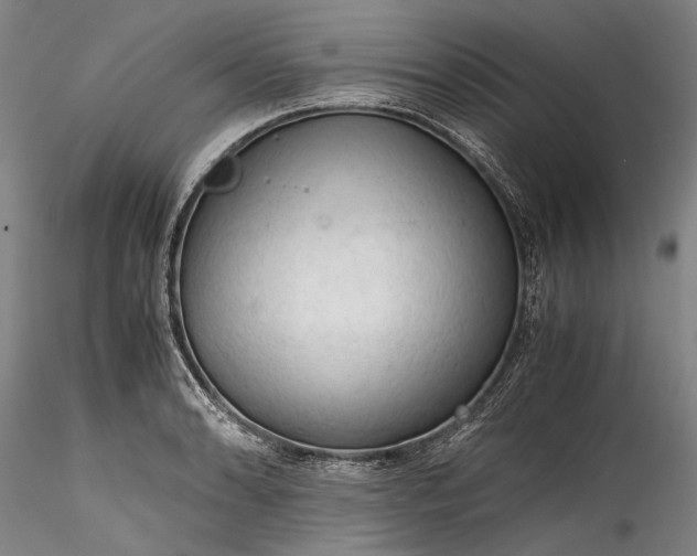 X0000115801086200911271245