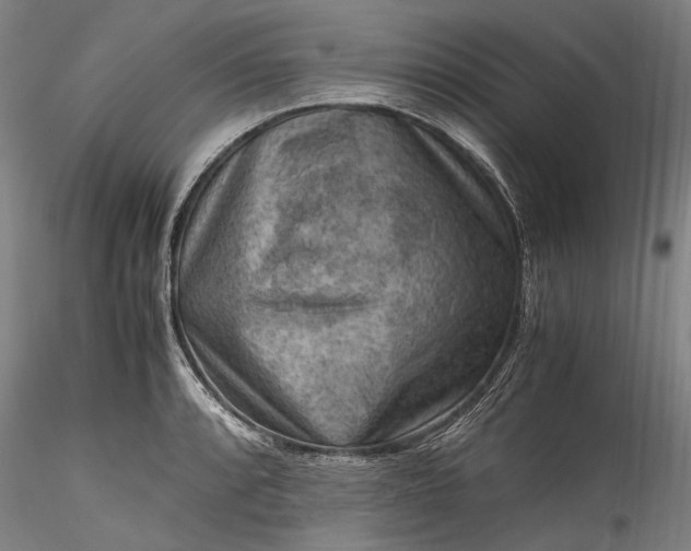X0000115801088200911271245