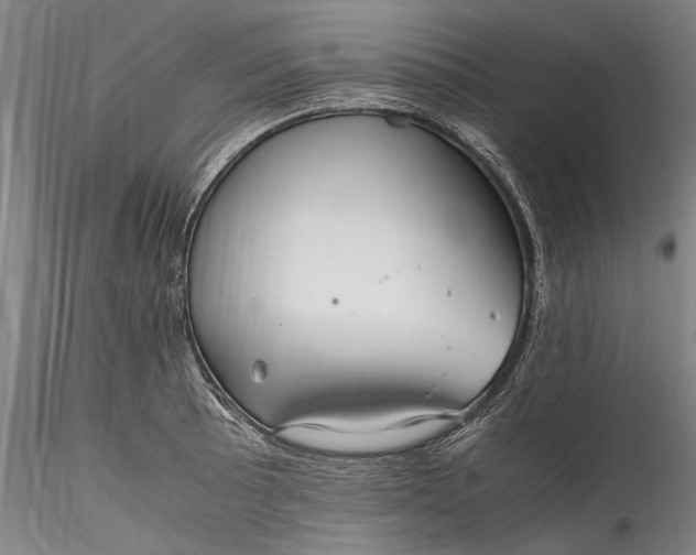 X0000115801089200911271245