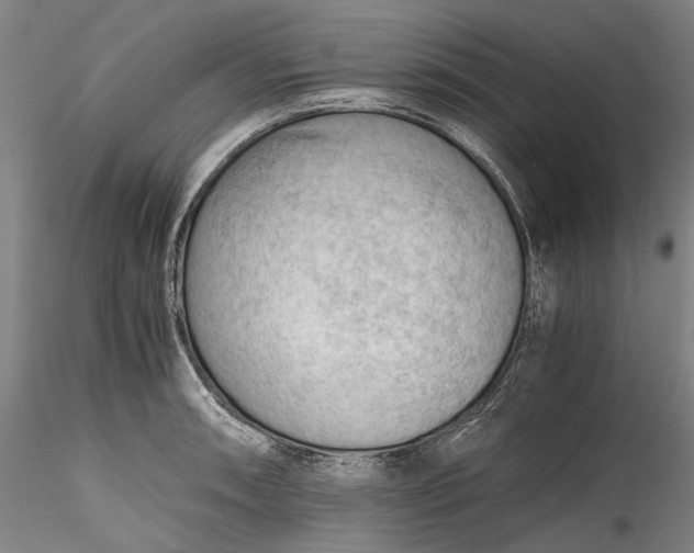 X0000115801090200911271245