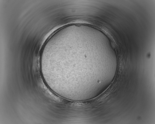 X0000115801092200911271245