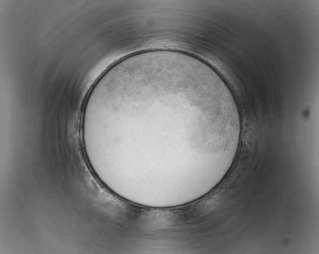 X0000115801094200911271245