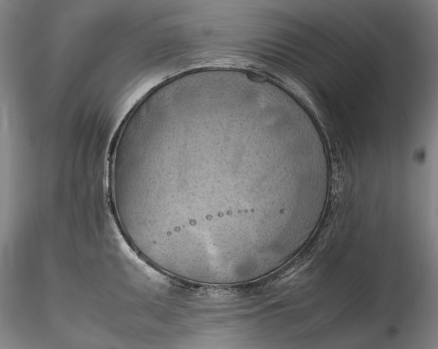 X0000115801095200911271245