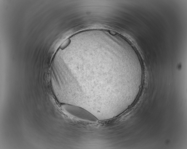 X0000115801097200911271245