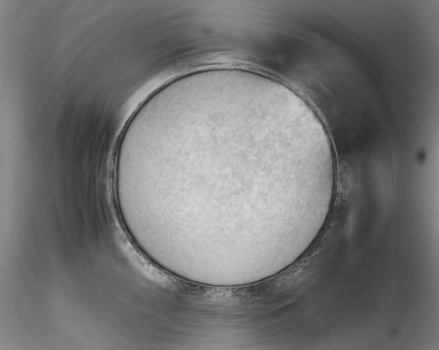 X0000115801098200911271245