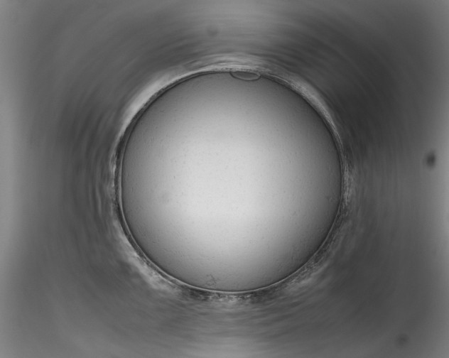 X0000115801099200911271245