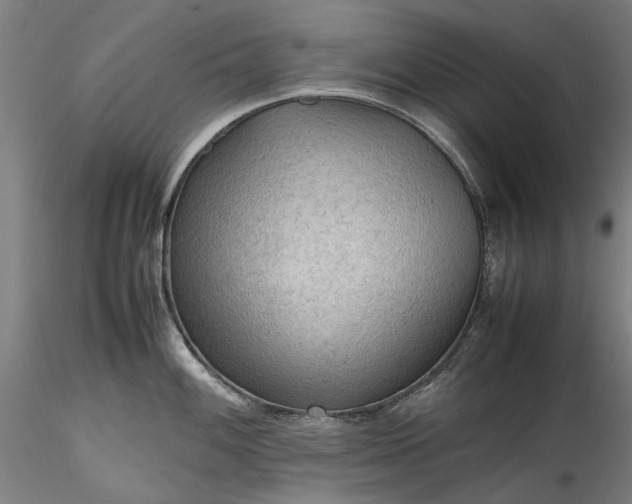 X0000115801100200911271245