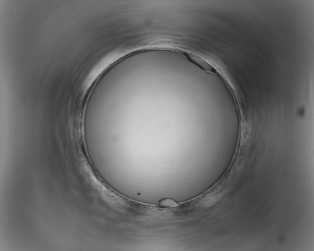 X0000115801101200911271245