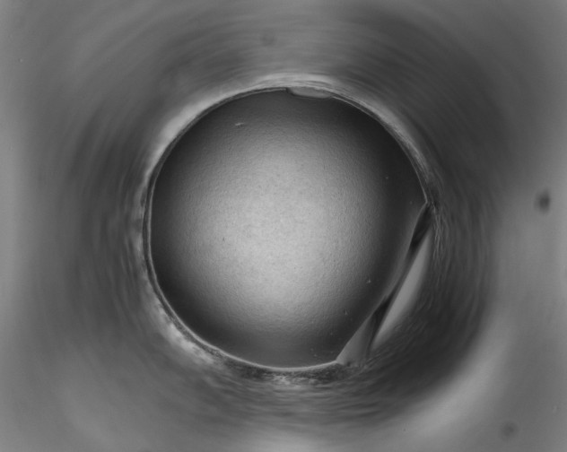 X0000115801102200911271245