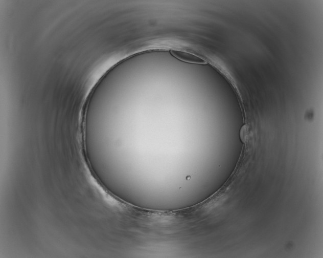 X0000115801103200911271245