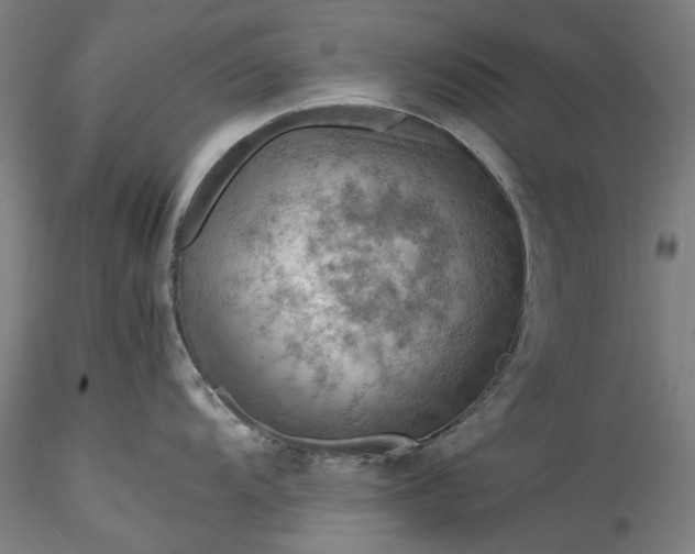 X0000115801104200911271245