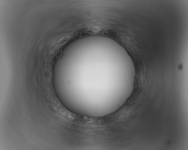 X0000115801105200911271244